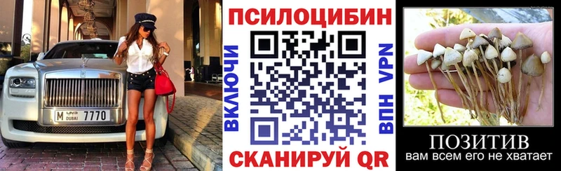 Галлюциногенные грибы мухоморы  дарк нет Telegram  Чегем 